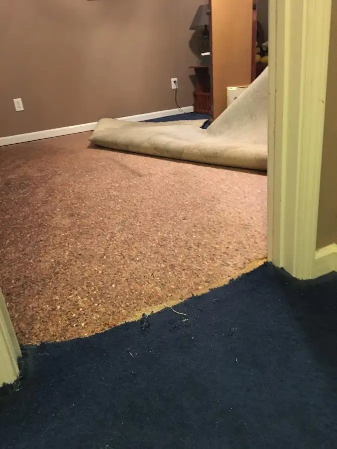Carpet pad removal revealing water damage during Water Mitigation Services in Webster