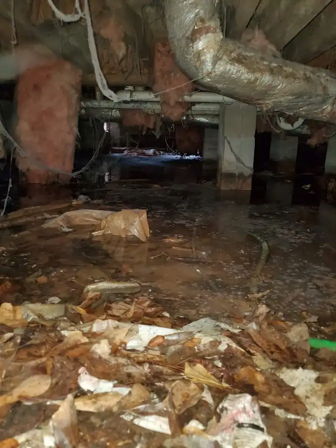 Crawl space flood assessment for Leak Detection & Repair in Webster