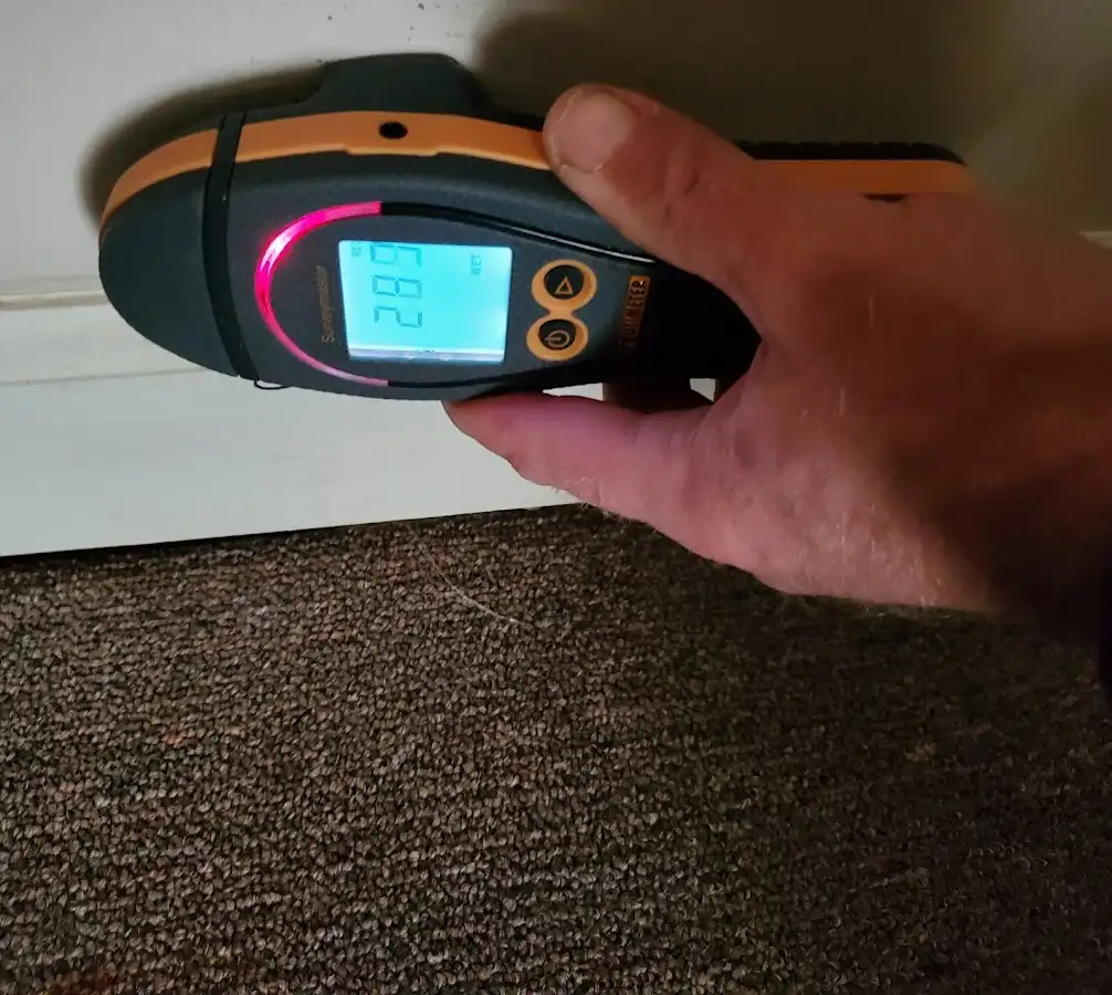 Moisture detection at baseboard during Burst Pipe Cleanup in Webster